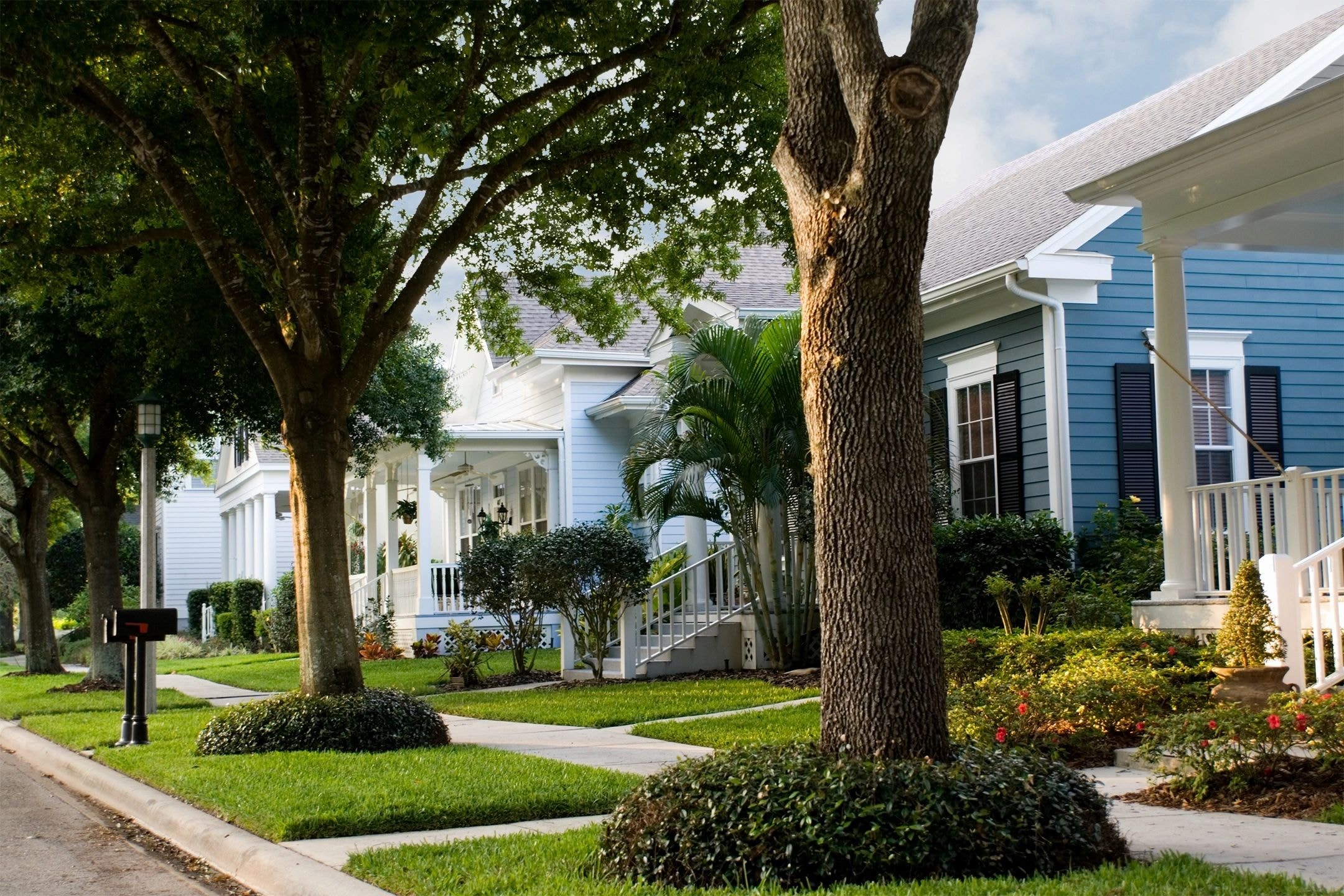 Residential neighborhood with oak trees
